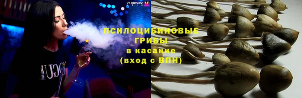 трава Нефтекумск