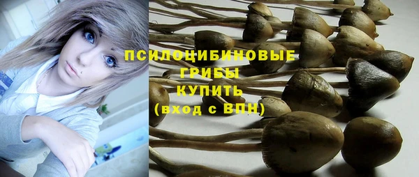 Альфа ПВП Нефтегорск