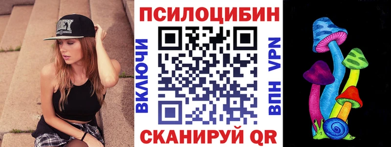 Псилоцибиновые грибы мицелий  Ковылкино 