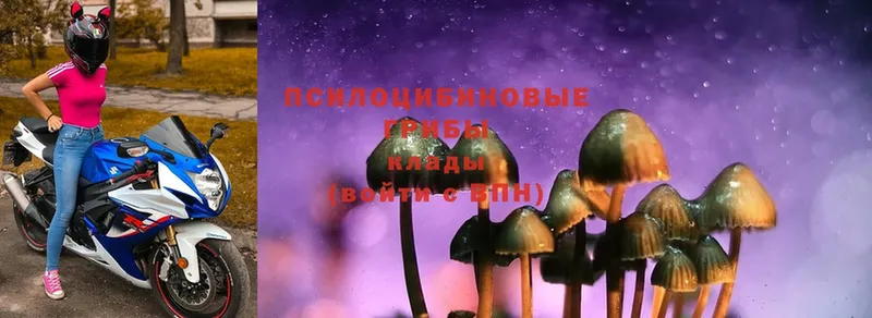 hydra ссылка  Ковылкино  Галлюциногенные грибы MAGIC MUSHROOMS  купить закладку 